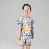 Animal Friends Graphic Ruffle Trim Square Tee and Shorts-6-colro-Vault Blue -  NianYi, Chinese Traditional Clothing for Kids