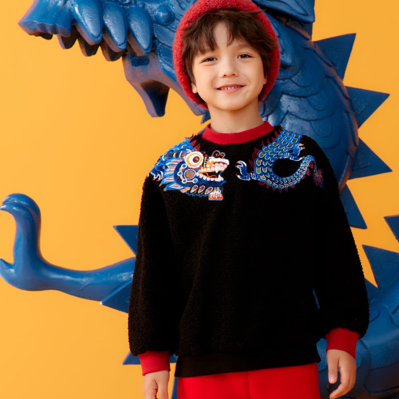 Dragon Long Colorblock Dragon Illustration Fluffy Cloth Patch Sweatshirt for Kids