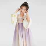 Traditional Chinese Realistic Bird and Flower Painting Embroidery Pleated Hanfu Dress-12 -  NianYi, Chinese Traditional Clothing for Kids