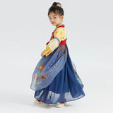 Bird and Flower Realistic Painting Graphics Layered Mesh Hanfu Dress-9 -  NianYi, Chinese Traditional Clothing for Kids