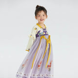 Chinese Realistic Bird and Flower Painting Graphics Layered Sleeves Mesh Hanfu Dress-9 -  NianYi, Chinese Traditional Clothing for Kids