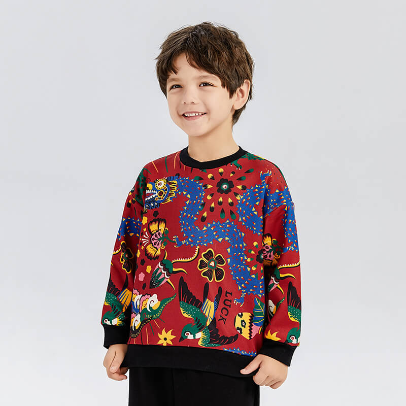 Dragon Long Love and Luck Auspicious Patterns Fleece Pullover-8 -  NianYi, Chinese Traditional Clothing for Kids